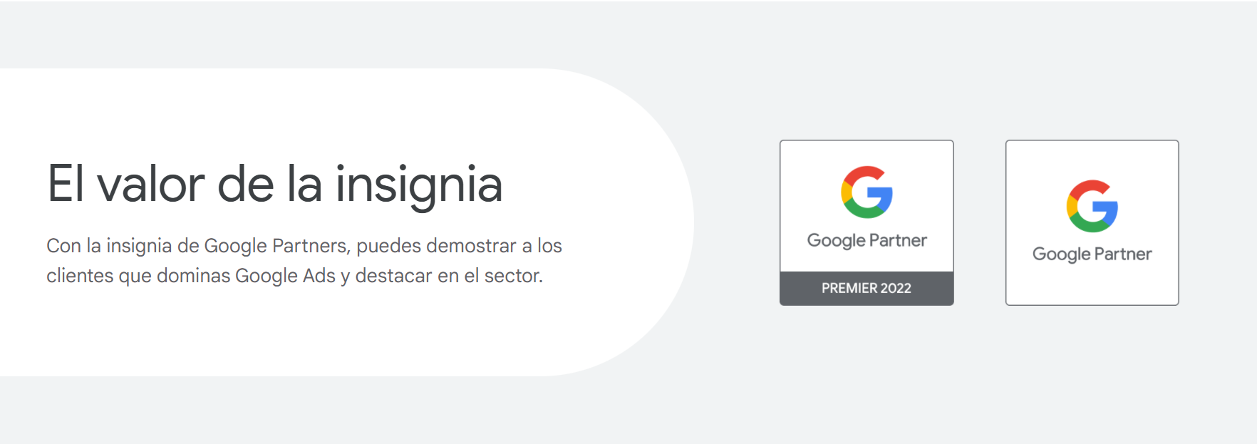 insignia de google partners premier nineclicks agencia digital SEM y SEO